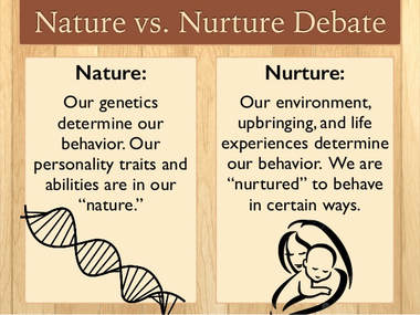 nature vs nurture nurture examples