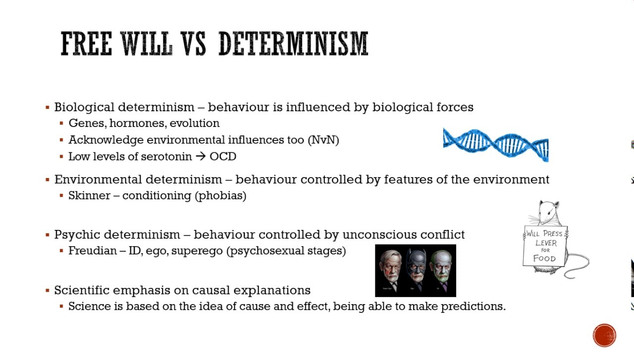 determinism vs free will